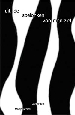 literatuur
