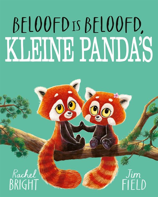 Beloofd is beloofd kleine pandas