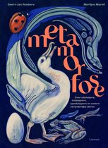 metamorfose