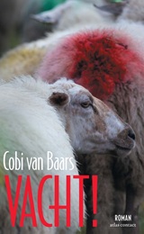 vacht